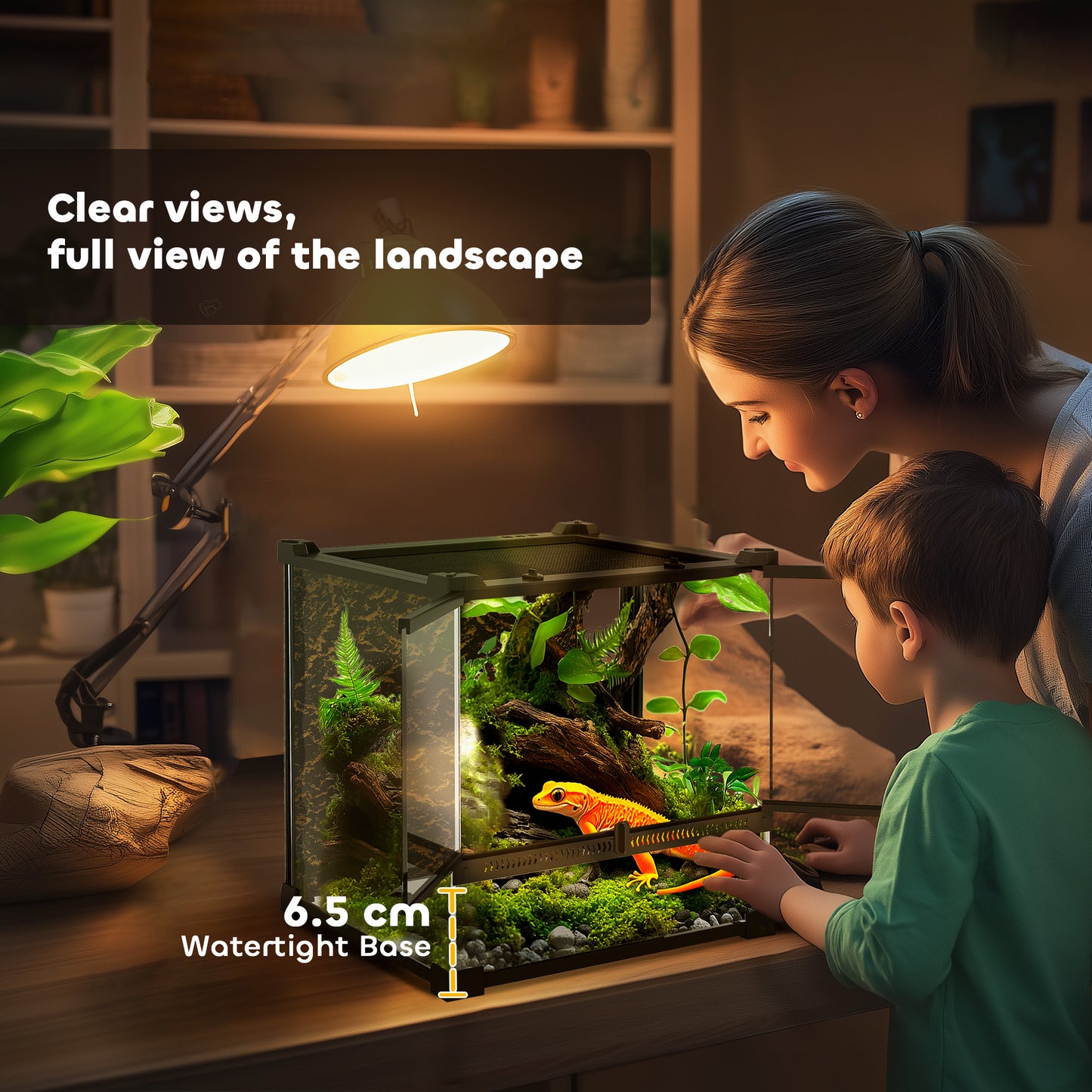 Glass Terrarium with Stone Background, Reptile Vivarium, Black