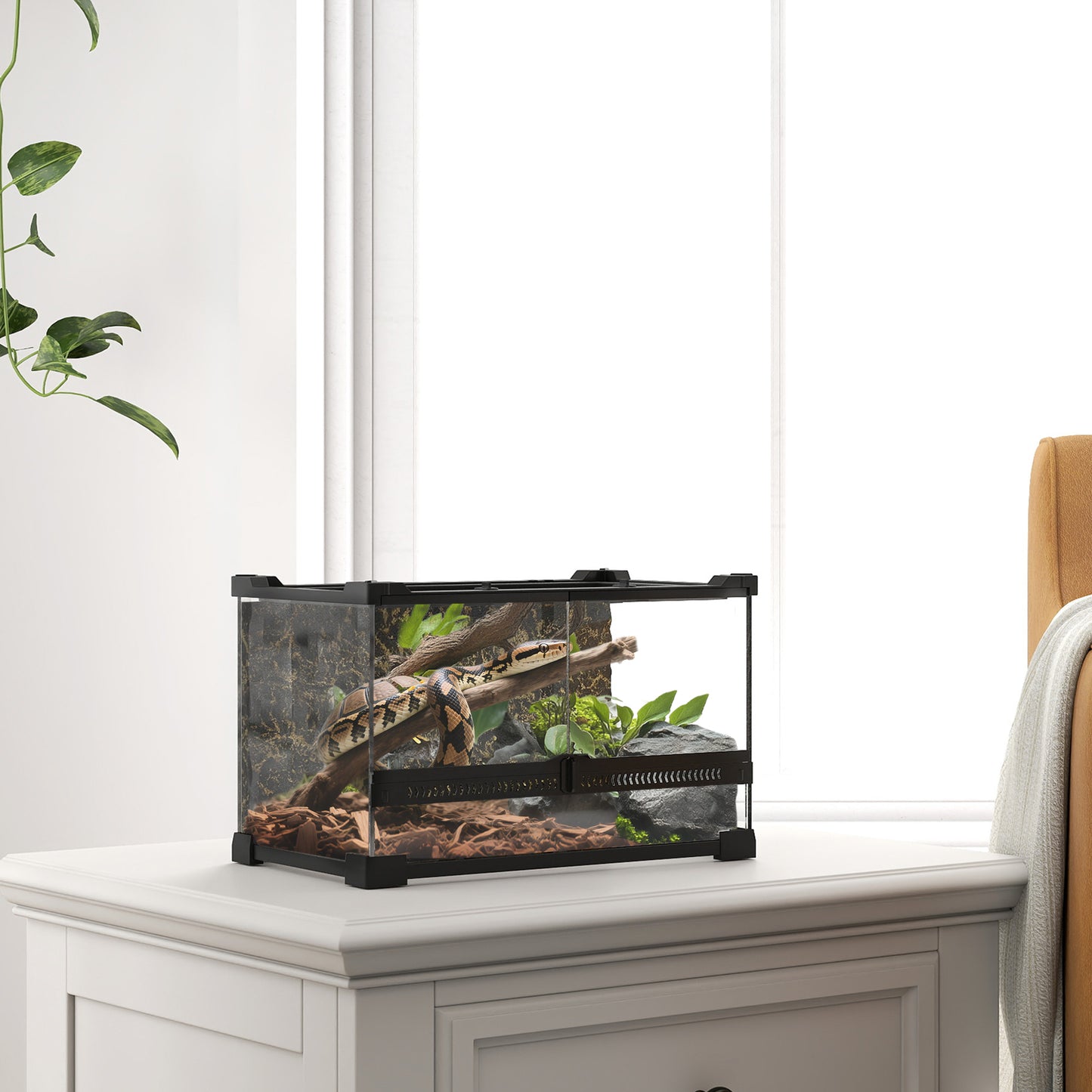 Glass Terrarium with Stone Background, Reptile Vivarium, Black