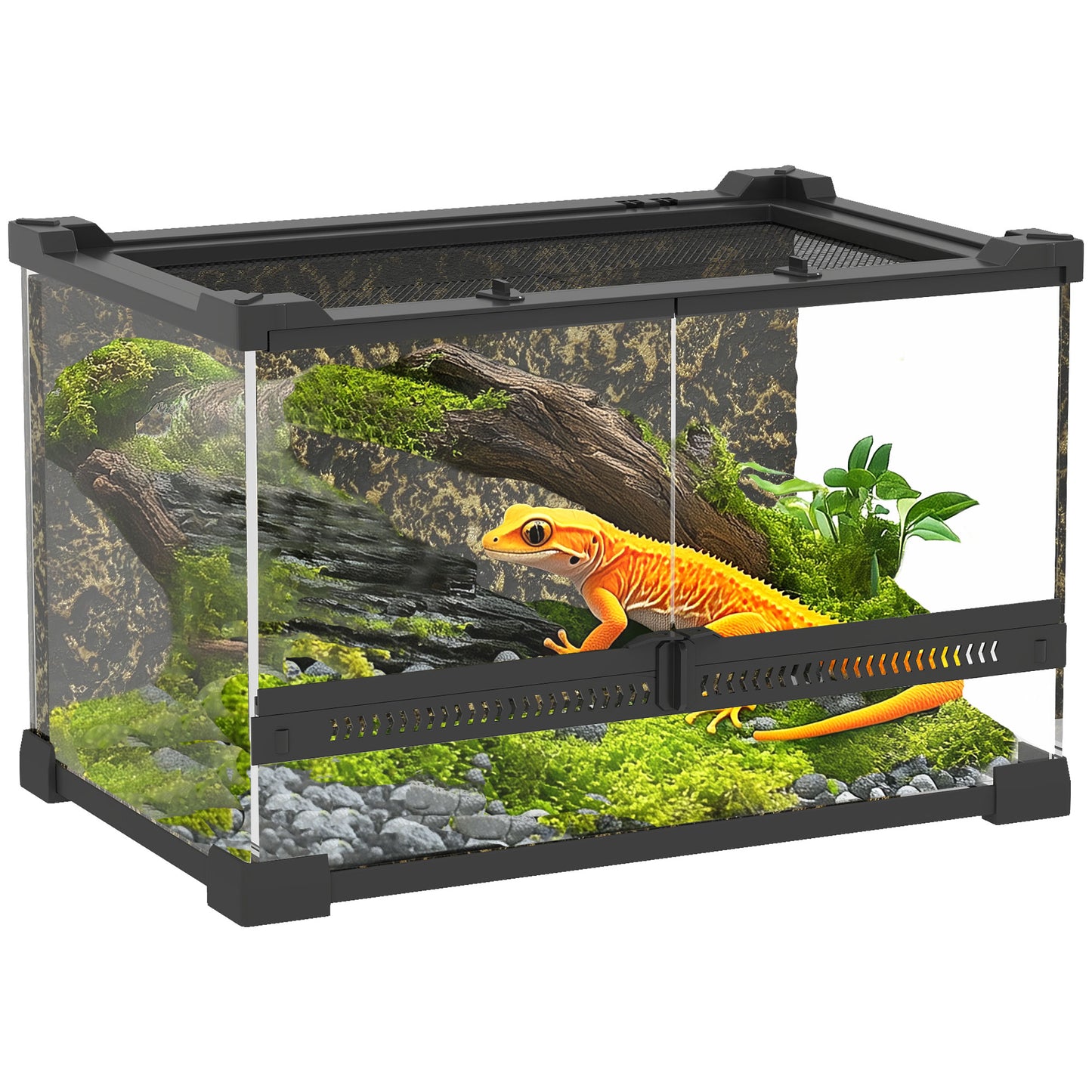 Glass Terrarium with Stone Background, Reptile Vivarium, Black
