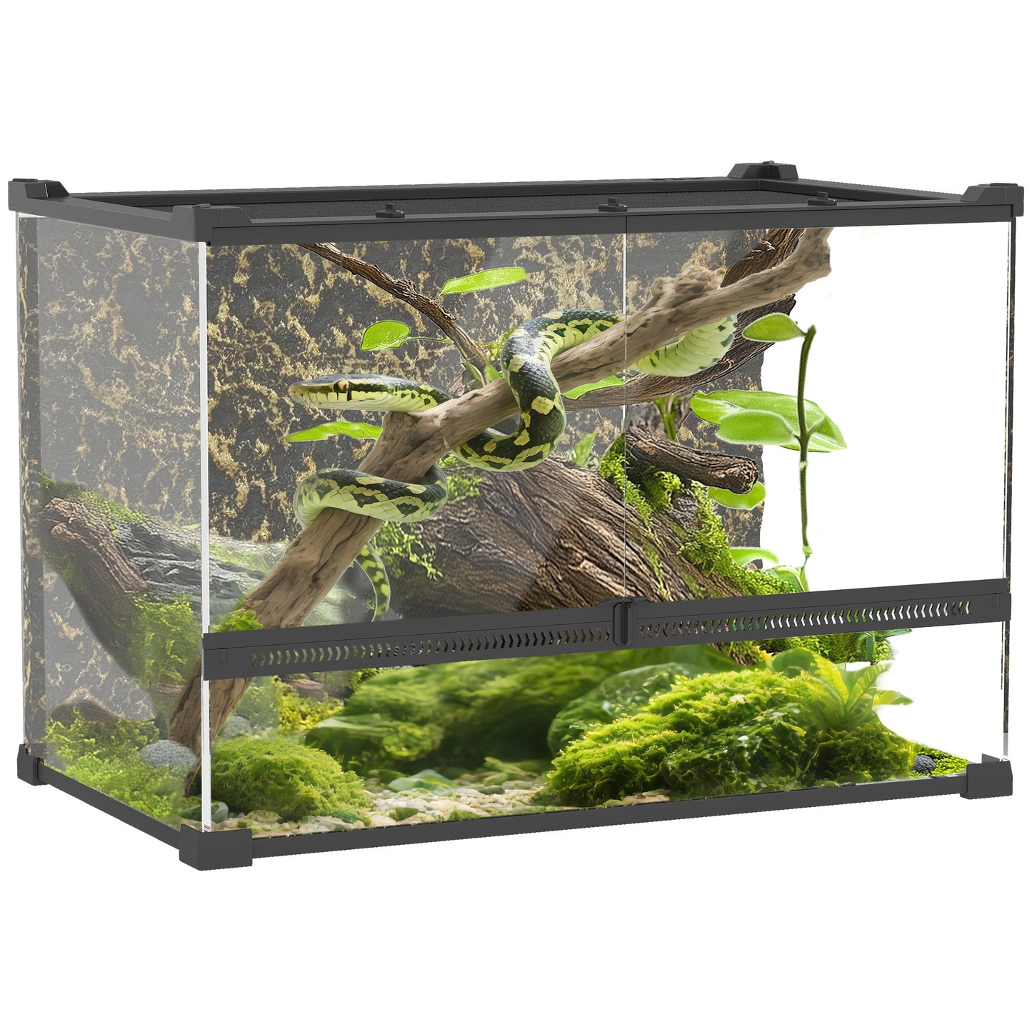 Glass Terrarium with Stone Background, Reptile Vivarium, Black