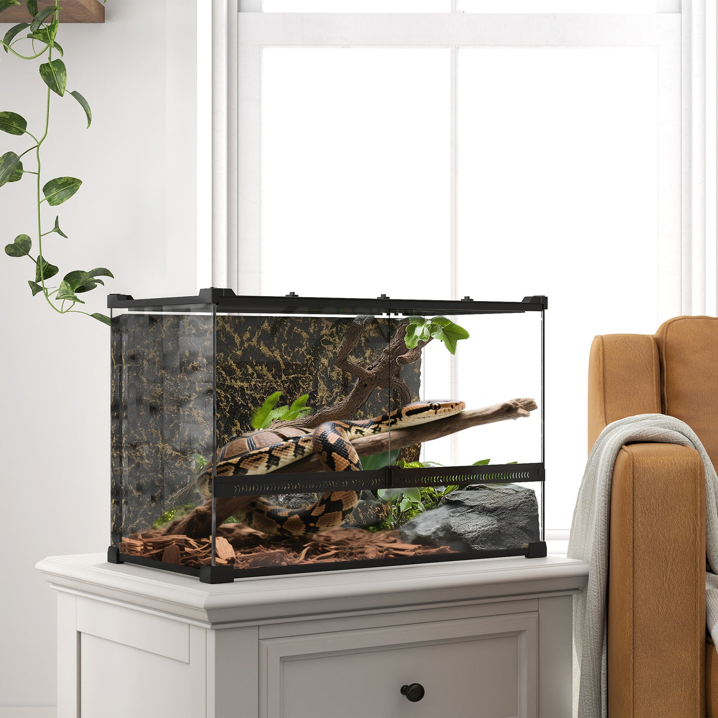 Glass Terrarium with Stone Background, Reptile Vivarium, Black